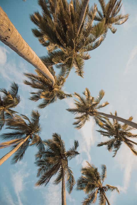 Bild des Retreats