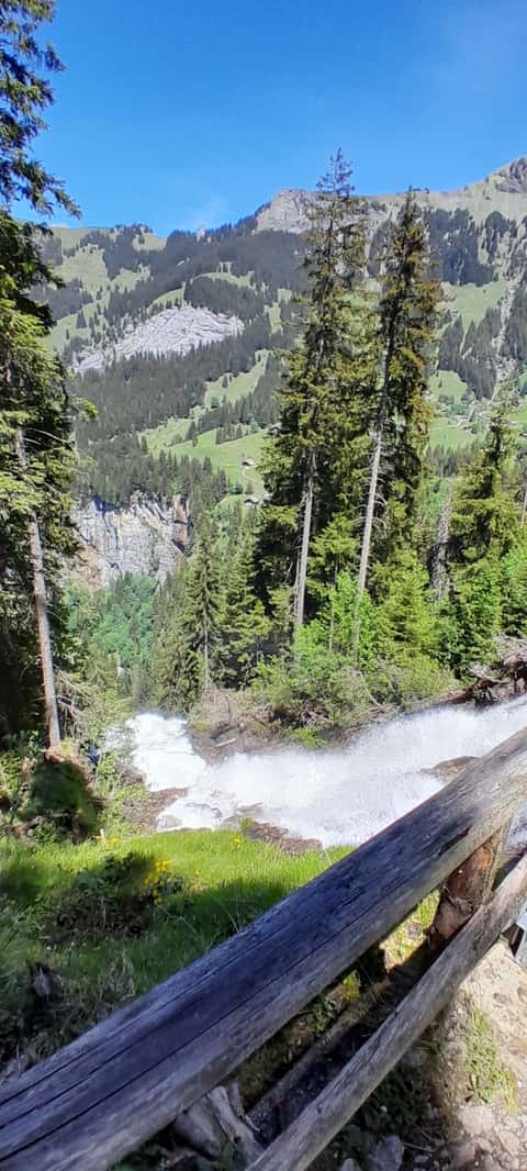 Bild des Retreats