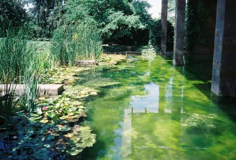 Bild des Retreats