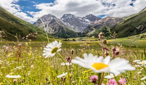 Bild des Retreats