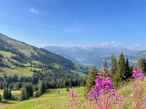 Bild des Retreats