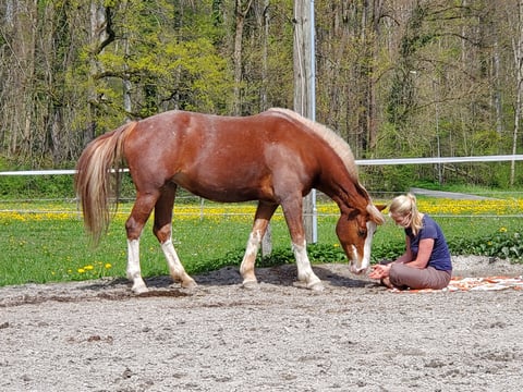 Bild des Retreats