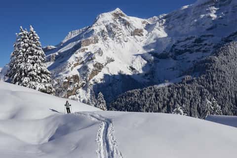 Bild des Retreats