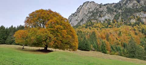 Bild des Retreats