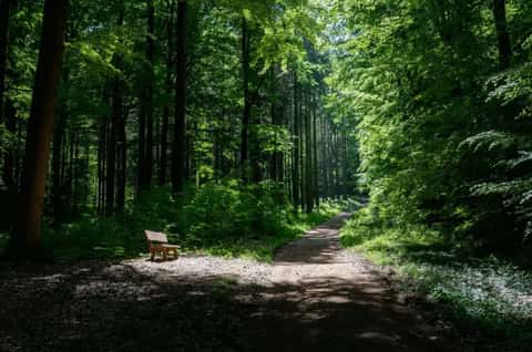 Bild des Retreats