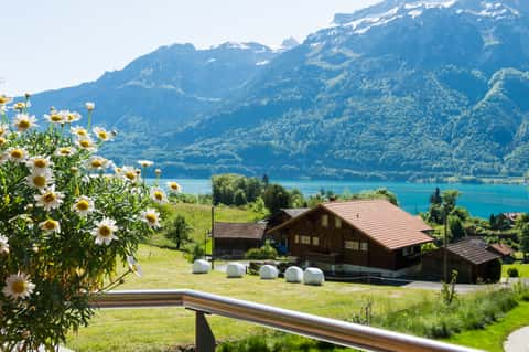 Bild des Retreats