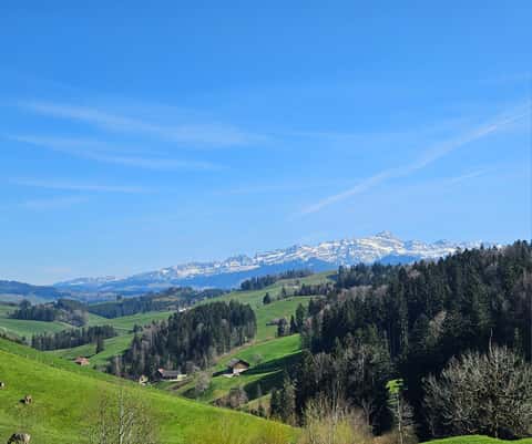 Bild des Retreats
