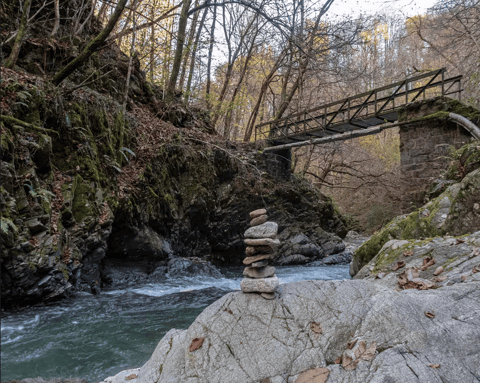 Bild des Retreats